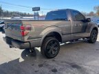 Thumbnail Photo 6 for 2014 Ford F150