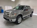 Thumbnail Photo 3 for 2014 Ford F150