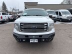 Thumbnail Photo 1 for 2014 Ford F150
