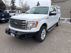 Thumbnail Photo 2 for 2014 Ford F150