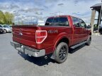 Thumbnail Photo 3 for 2014 Ford F150