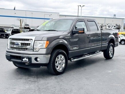 Photo 1 for 2014 Ford F150