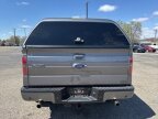 Thumbnail Photo 6 for 2014 Ford F150