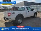 Thumbnail Photo 4 for New 2014 Ford F150