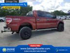 Thumbnail Photo 4 for New 2014 Ford F150
