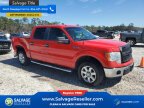 Thumbnail Photo 5 for New 2014 Ford F150