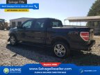 Thumbnail Photo 3 for New 2014 Ford F150