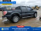 Thumbnail Photo 4 for New 2014 Ford F150