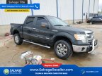 Thumbnail Photo 5 for New 2014 Ford F150