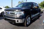 Thumbnail Photo 1 for 2014 Ford F150
