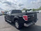 Thumbnail Photo 5 for 2014 Ford F150