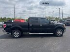 Thumbnail Photo 2 for 2014 Ford F150