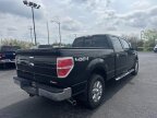 Thumbnail Photo 3 for 2014 Ford F150