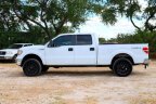 Thumbnail Photo 2 for 2014 Ford F150