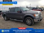 Thumbnail Photo 5 for New 2014 Ford F150