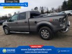 Thumbnail Photo 3 for New 2014 Ford F150