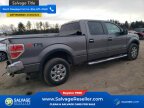 Thumbnail Photo 4 for New 2014 Ford F150