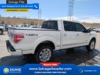 Thumbnail Photo 4 for New 2014 Ford F150
