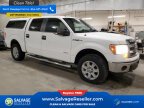 Thumbnail Photo 5 for New 2014 Ford F150