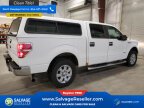Thumbnail Photo 4 for New 2014 Ford F150