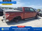 Thumbnail Photo 4 for New 2014 Ford F150