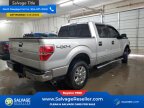 Thumbnail Photo 4 for New 2014 Ford F150