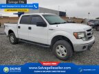 Thumbnail Photo 5 for New 2014 Ford F150