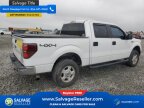Thumbnail Photo 4 for New 2014 Ford F150