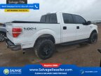 Thumbnail Photo 4 for New 2014 Ford F150