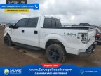 Thumbnail Photo 3 for New 2014 Ford F150