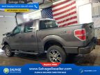 Thumbnail Photo 3 for 2014 Ford F150