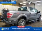 Thumbnail Photo 4 for 2014 Ford F150
