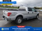 Thumbnail Photo 4 for 2014 Ford F150