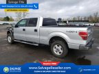 Thumbnail Photo 3 for 2014 Ford F150