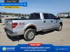 Thumbnail Photo 4 for 2014 Ford F150