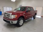 Thumbnail Photo 3 for 2014 Ford F150