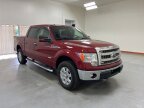 Thumbnail Photo 1 for 2014 Ford F150