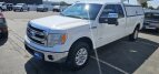 Thumbnail Photo 6 for 2014 Ford F150