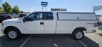 Thumbnail Photo 5 for 2014 Ford F150