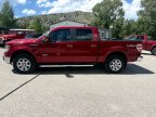 Thumbnail Photo 1 for 2014 Ford F150