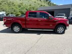 Thumbnail Photo 5 for 2014 Ford F150
