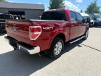 Thumbnail Photo 4 for 2014 Ford F150