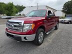 Thumbnail Photo 6 for 2014 Ford F150