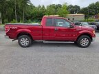 Thumbnail Photo 1 for 2014 Ford F150