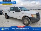 Thumbnail Photo 5 for 2014 Ford F150