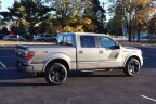 Thumbnail Photo 3 for 2014 Ford F150