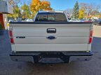 Thumbnail Photo 6 for 2014 Ford F150