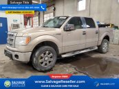 New 2014 Ford F150