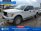New 2014 Ford F150