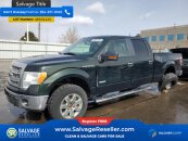 New 2014 Ford F150